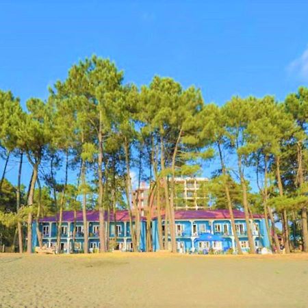 Evrika Hotel Shekvetili 외부 사진
