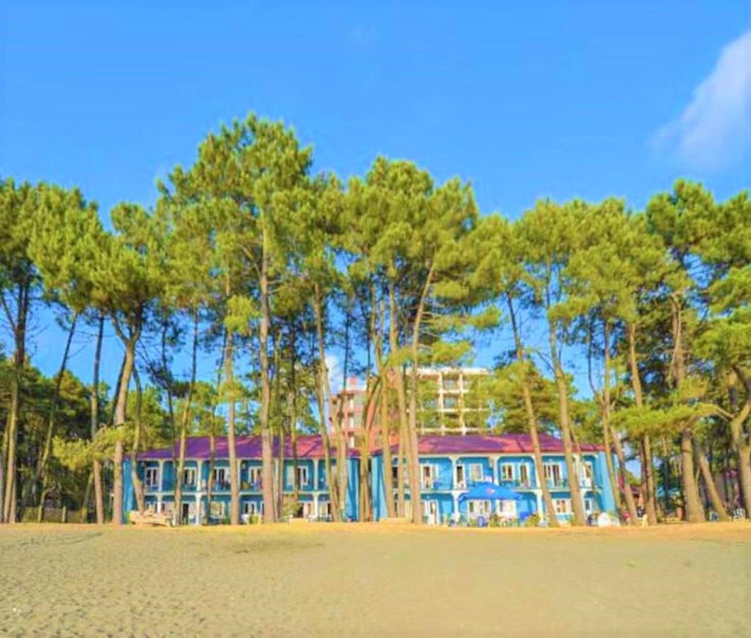 Evrika Hotel Shekvetili 외부 사진