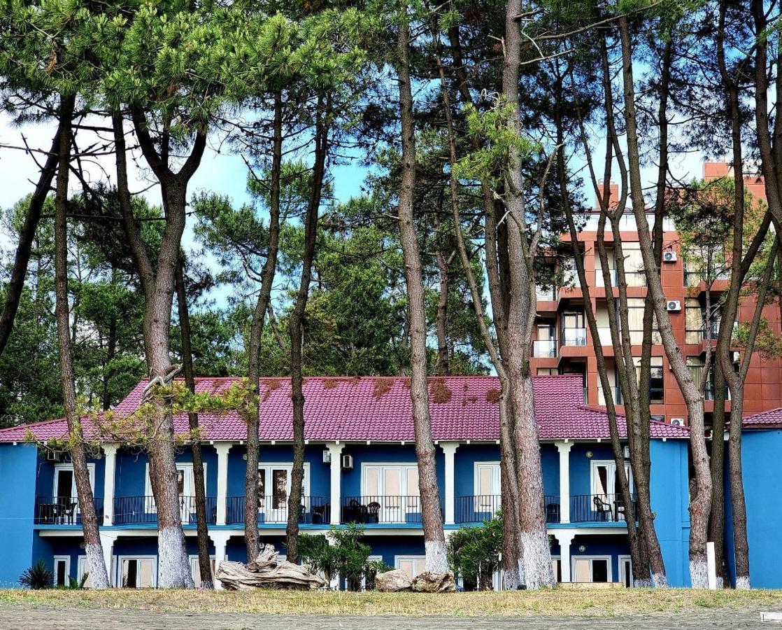 Evrika Hotel Shekvetili 외부 사진